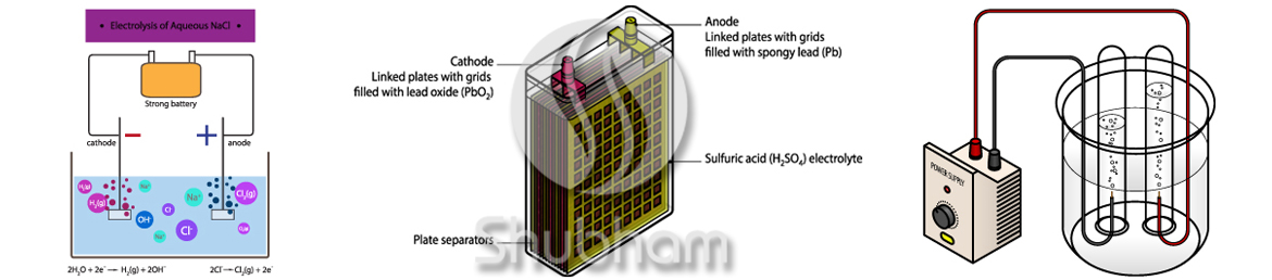 Electra Rapid Product