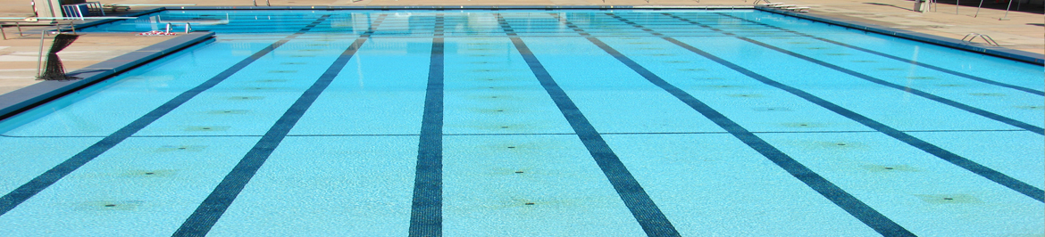 Swimming Pool - Shubham Inc - Municipal